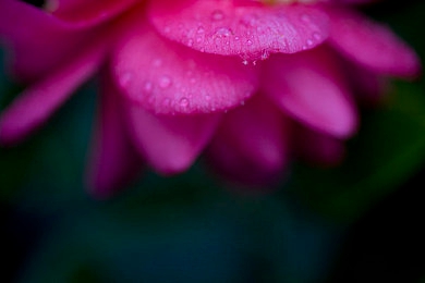 was was kino｜惊悚沉浸，定制惊魂之旅