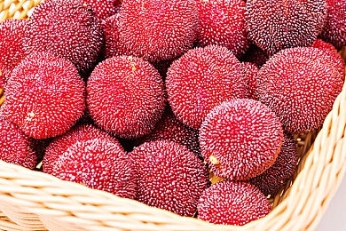 打白嫩秘 光屁屁女学生｜校园美容热：揭秘“打白嫩秘 光屁屁”青春困惑-4