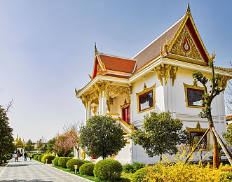 Chinese军人Gay 呻吟｜军人形象风波：社会热议与心理关怀交织-2