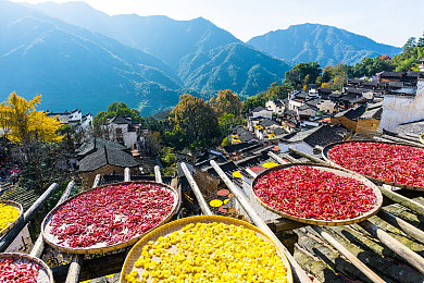 男同视频网站｜彩虹映像：男同视频社区探险之旅-4