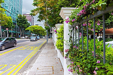 男人与雌性动啪啪｜揭秘自然奇观：深入解析动物交配行为，探寻快乐之源与繁衍奥秘-2