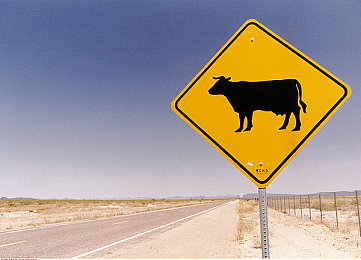 宅男天堂｜现代都市宅男天堂：揭秘虚拟乌托邦的魅力与挑战-2