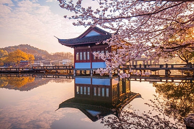 蕾丝小内内被撕开强入｜时尚潮流与舒适体验并存：揭秘蕾丝小内内如何成为女性衣橱新宠-3