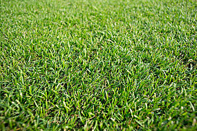 亚洲一二三四区|亚洲风云:四区争霸,品牌崛起之路-2