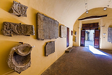 少妇免费直播｜直播潮涌：“少妇”免费直播现象解析与启示-3