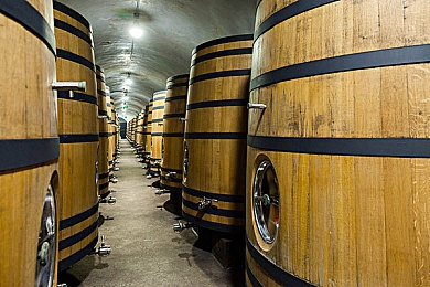 欧洲二区｜解锁视听盛宴：欧洲二区海量精彩内容等你探索-2