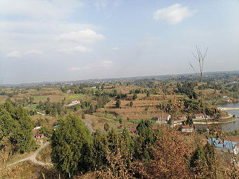 欧美性黑人|“多元文化交融下的身份困境:欧美性黑人的认同挑战与探索之路”-5