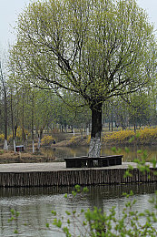 馒头 一线天 肥厚｜美食奇观：一线天馒头探险之旅-4