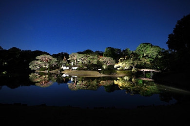 免费网站 禁app｜净化网络，畅游安全：禁app新规下的游戏盛宴-3