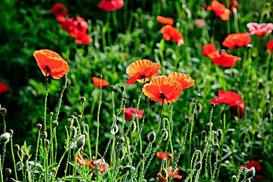 戴璐在婚房里录像回放｜网络隐私风暴：婚房录像事件拷问社会底线-2