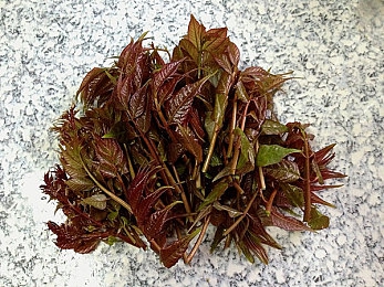 JuliaAnn熟妇大黑炮大战|JuliaAnn熟妇大黑炮攻略:揭秘战局制胜技巧与团队协作精髓-3