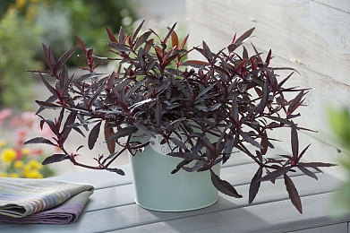 修修漫画在线登录页面免费漫画入口页面破解｜揭秘修修漫画，畅游免费漫画海洋的快捷之门-4