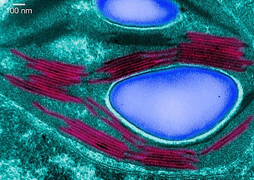 18岁禁用软件｜新规出台：18岁以下未成年人禁用部分网络软件，关注青少年健康成长-3