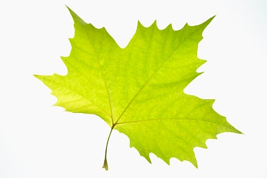 秘密入口永久地址发布页｜揭秘网络神秘通道：探索“秘密入口永久地址发布页”背后的丰富资源-2