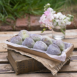 69精品｜品质生活，69元启航：探索消费新趋势的理性购物之旅-3