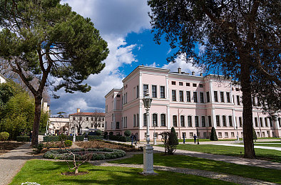 麻花传媒沈芯语老师家访MBA|“创新家访MBA,开启快乐学习新篇章”-4