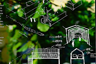 一前一后三个人一起的游戏规则｜步调一致，心近情远：探索“一前一后三人行”社交新境-3