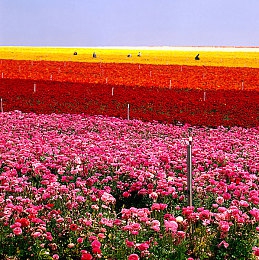 雏鸟Pro｜科技育英才，雏鸟Pro开启未来学习新纪元-3