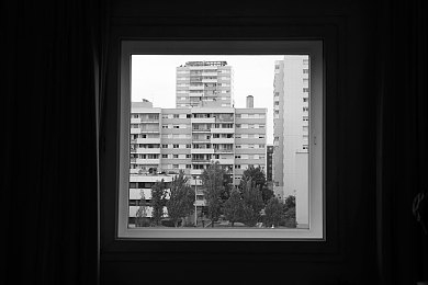 柑橘直播｜柑橘盛宴：直播带货，农产新篇章-2