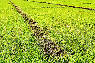 亚洲一卡二卡三卡｜一卡在手，娱乐出行无忧：亚洲一卡二卡三卡引领智能生活新潮流-3