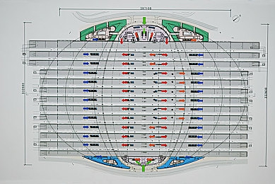 ZZZZZ女人与牛oooo｜神秘传说：ZZZZZ女子与牛oooo的智慧共舞-4