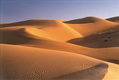 五对情侣到荒野别墅游戏|探寻荒野秘境,情侣携手破谜恋-5