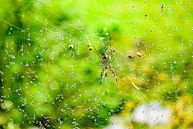 差差视频｜“差差视频：揭秘网络潮流背后的文化现象与年轻人价值观影响”-2