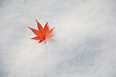 脱了老师裙子猛烈进入｜解谜脱裙之旅：探秘互动游戏中的独特冒险体验-3