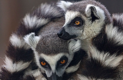 男女打扑｜趣味竞技，破性别界限，青年共展新时代风采-4