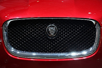 色鬼app|“色鬼app”颠覆社交格局,引领爱情新潮流,见证无数美好邂逅-4