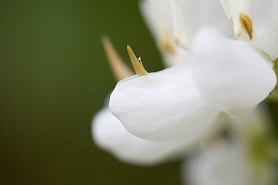9·1短视频安装不限速｜“9月1日起短视频平台不限速安装，用户体验全面升级，技术创新助力行业发展”-3