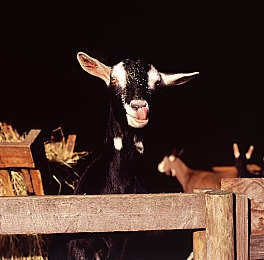 水野朝阳电影梦中的旅程｜追逐梦想的光影旅程，记录心灵的拼搏-2