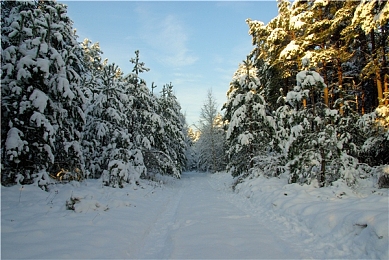 黄色片oppo3.31｜清朗网络，守护青春——绿色应用守护战-1