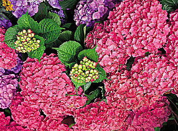 qqc八年沉淀只做精品mba智库|八年磨一剑,qqc打造精品MBA智库助力学员成长与企业腾飞-2