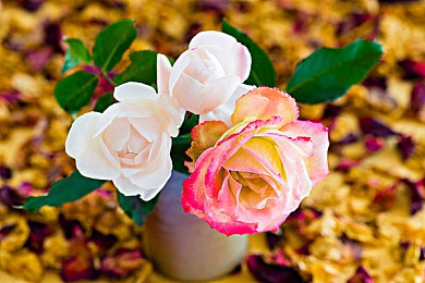 爽 躁多水 快 深女女｜江湖激情，畅游《热血江湖》：技能释放，情谊躁动-2