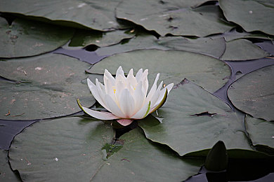 体育生洗澡隐私秘 免费｜隐私权的呼声在校园中亟待听见-4