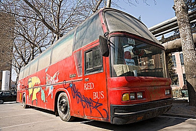 黄品汇绿化版｜绿色生活新风尚，黄品汇绿化版领航环保潮流-5