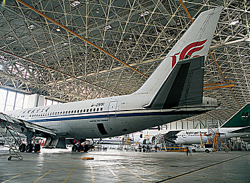 3.0.3免费oppo版大全在线观看｜畅享无忧，一键升级：揭秘3.0.3免费OPPO版大全在线观看攻略-4