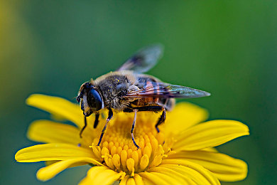 越南    性｜越南风情探秘：性文化之旅-4