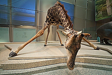 裸交     按摩｜裸交按摩风波：道德底线警钟长鸣，行业规范亟待重塑-4