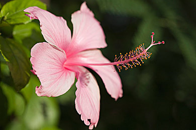 被同学粗大的 巴进出|“笑谈变悲剧,校园欺凌警示录:尊重与关爱,共筑和谐校园”-3