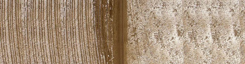 疯狂的交换1一6系列｜“颠覆传统文化盛宴：疯狂的交换1一6系列引热议，多城联动打造文化交流新体验”-2