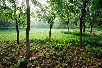 佛珠一颗一颗放小洞里｜古韵新篇：佛珠传世之旅-5