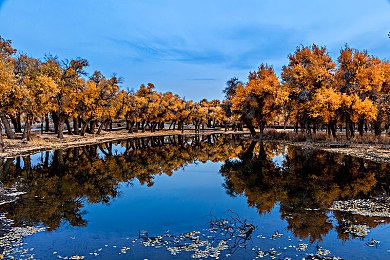 把 伸女人的 WWW游戏｜女性形象受损，网络监管亟待加强：揭秘“把 伸女人的 WWW游戏”争议-4