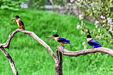 九九热只有精品｜当代青年热情表达与理性思考的平衡探索-3