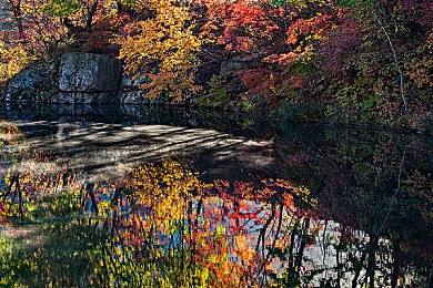 搞机time10分钟不用下电信长安中｜电信长安“搞机time”10分钟免费用，网络提速降费背后的消费新选择-4