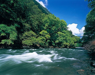 天美麻花果冻,麻花传苏蜜清歌｜麻花果冻新体验，天美创新引领潮流-4