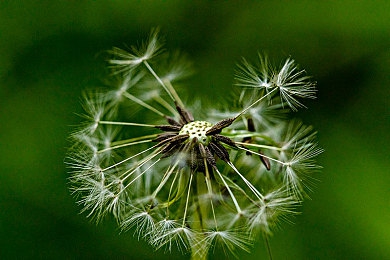 老师奖励我挠她30分钟的脚心｜“脚心挠挠乐，师生情谊浓：一堂别开生面的互动课堂启示录”-3