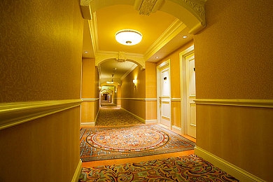 苍井空大战黑人｜多元碰撞，文化对话：苍井空与黑人男性社交媒体论战引发深思-2