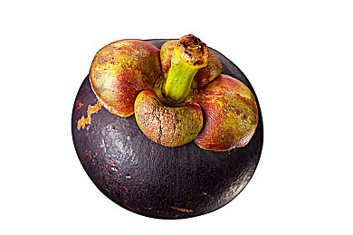 黄色软件下载免费3.0.3｜探险解谜新体验：免费游戏“黄色软件下载免费3.0.3”新版本来袭-5